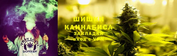 стафф Белокуриха
