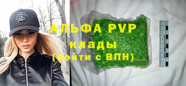 стафф Белокуриха