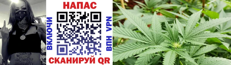 Бошки марихуана Amnesia площадка какой сайт Сухой Лог